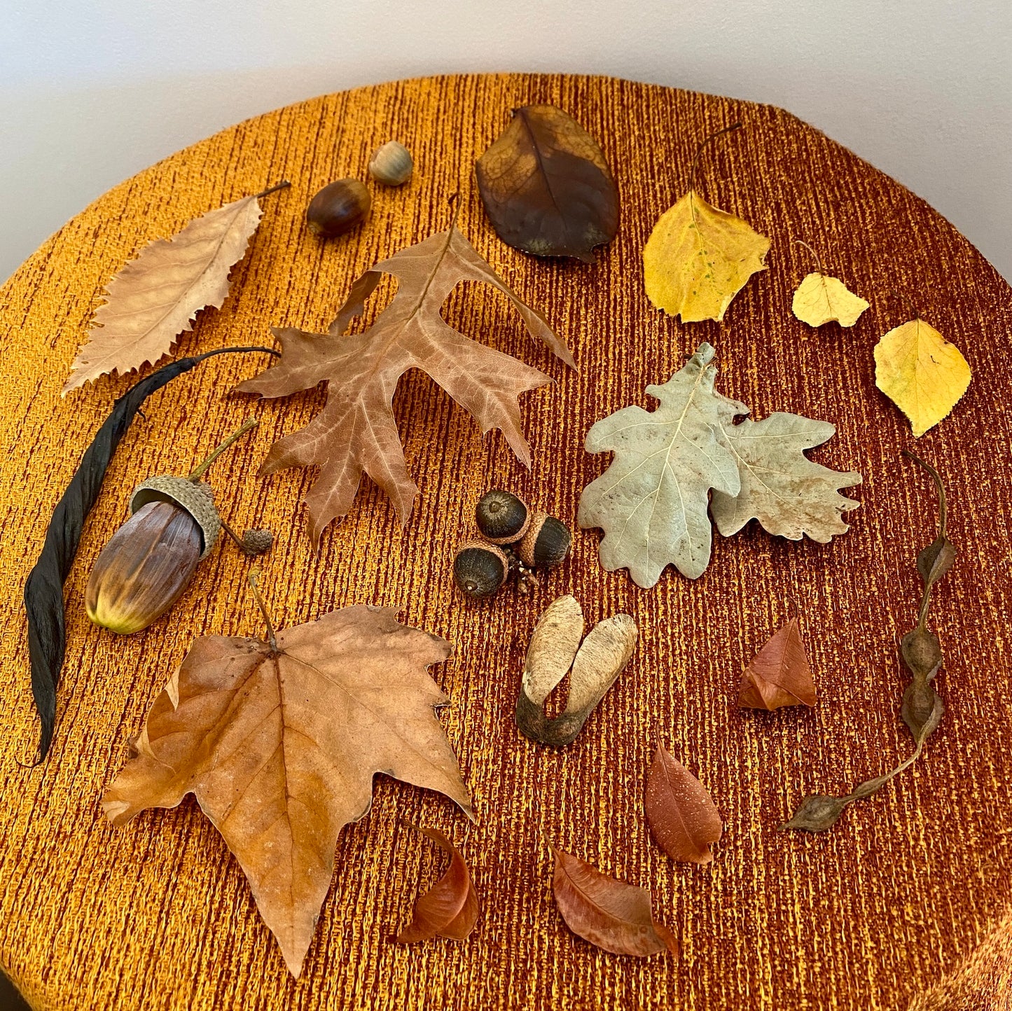 Mabon Altar Kit