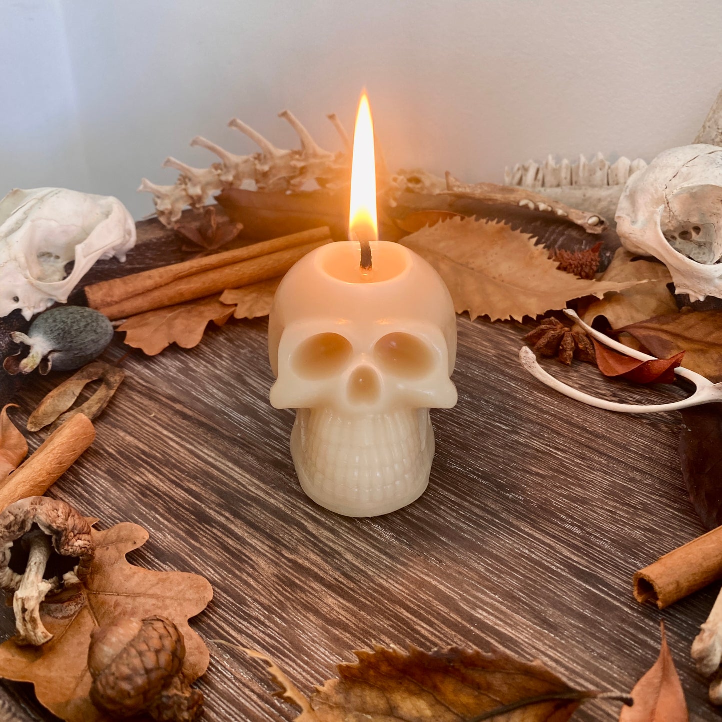 Samhain Skull Candles