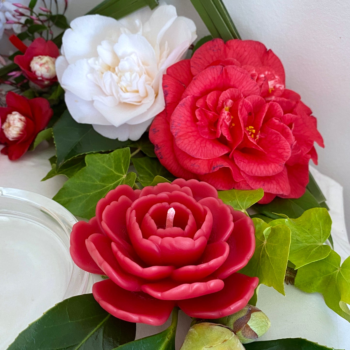 Camellia Candle
