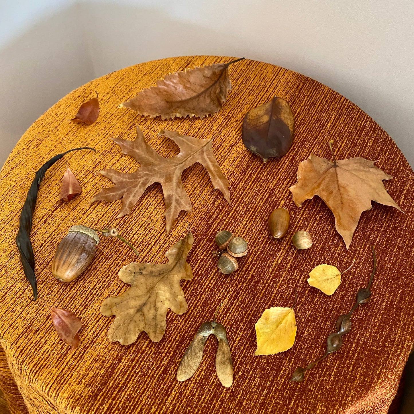 Beeswax Dipped Autumnal Decor
