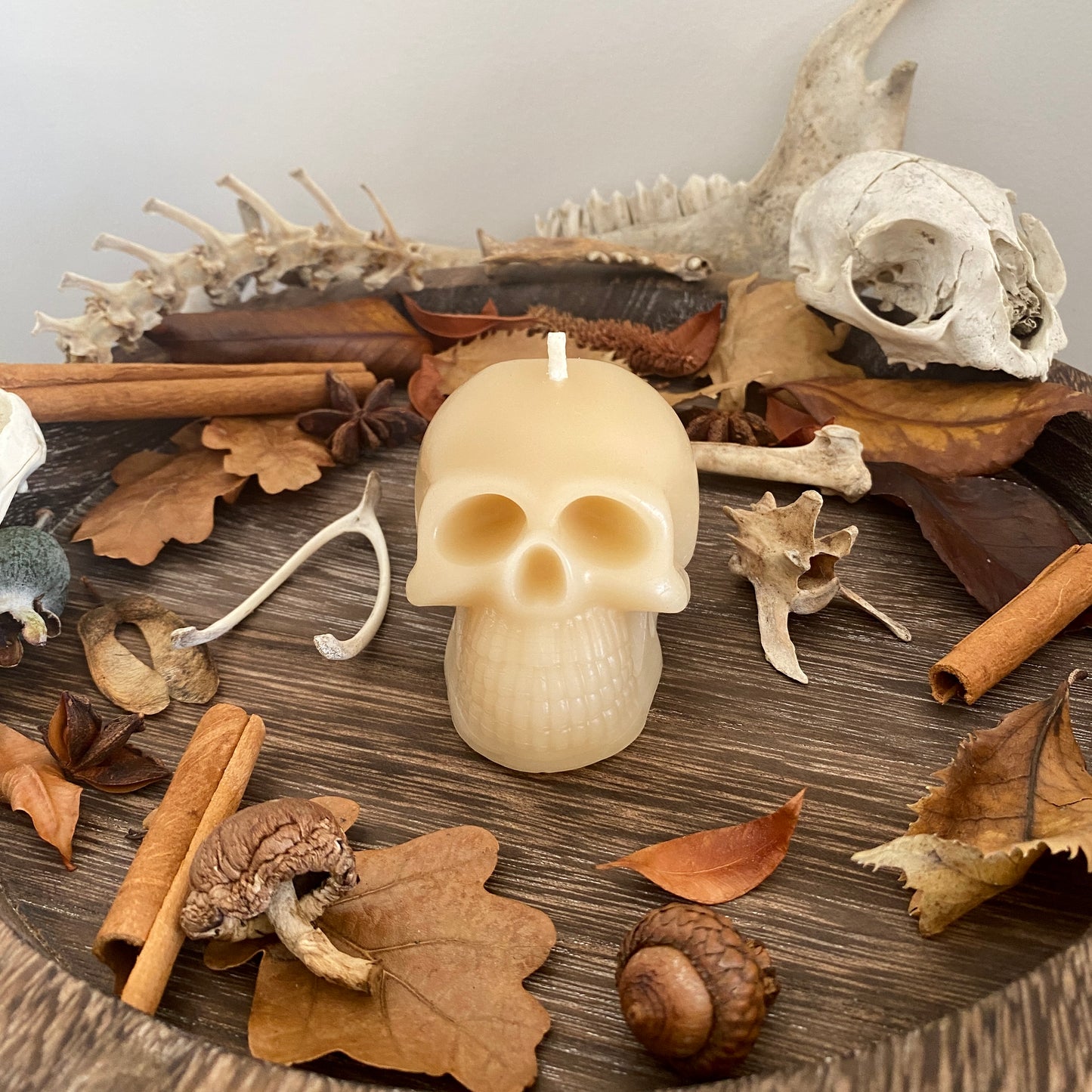 Samhain Skull Candles