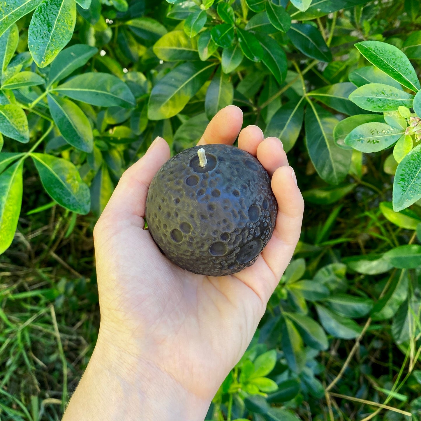 Hand holding a realistic black moon-shaped beeswax candle with green leaves in the background.
